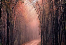 [中超]五球打穿薄弱防线 海港大胜国安.