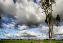 [NBA]“詹东组合”再爆发 湖人险胜尼克斯.