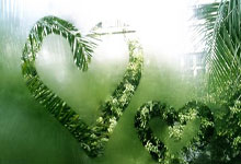 悟空体育官网：红军旧将：联赛杯决赛将会是非常开放的比赛，纽卡配得上冠军.