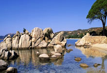 悟空体育官网：NBA西部竞争惨烈，四队有望冲击总决赛，凯尔特人坐收渔利.